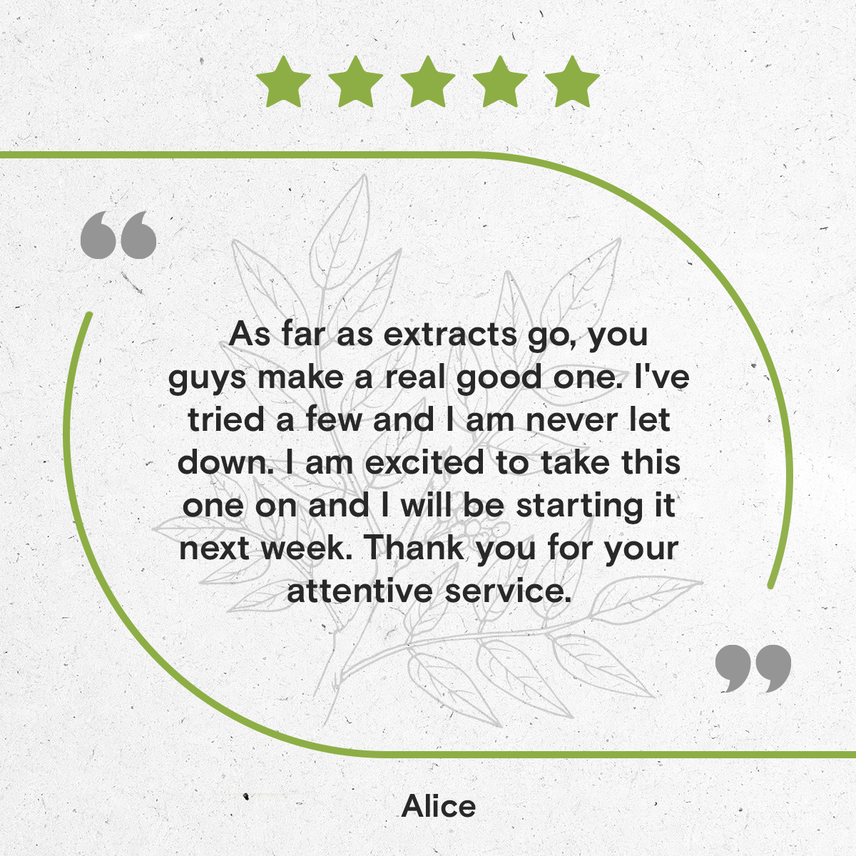 Secrets Of The Tribe - Wholesale Tincture - Prickly Ash Tincture6