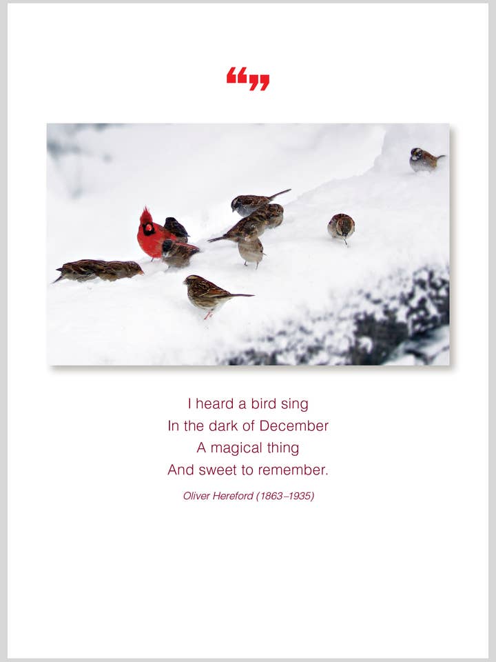 J'ai entendu Coffret de Noël pour la vente par The Borealis Press Inc