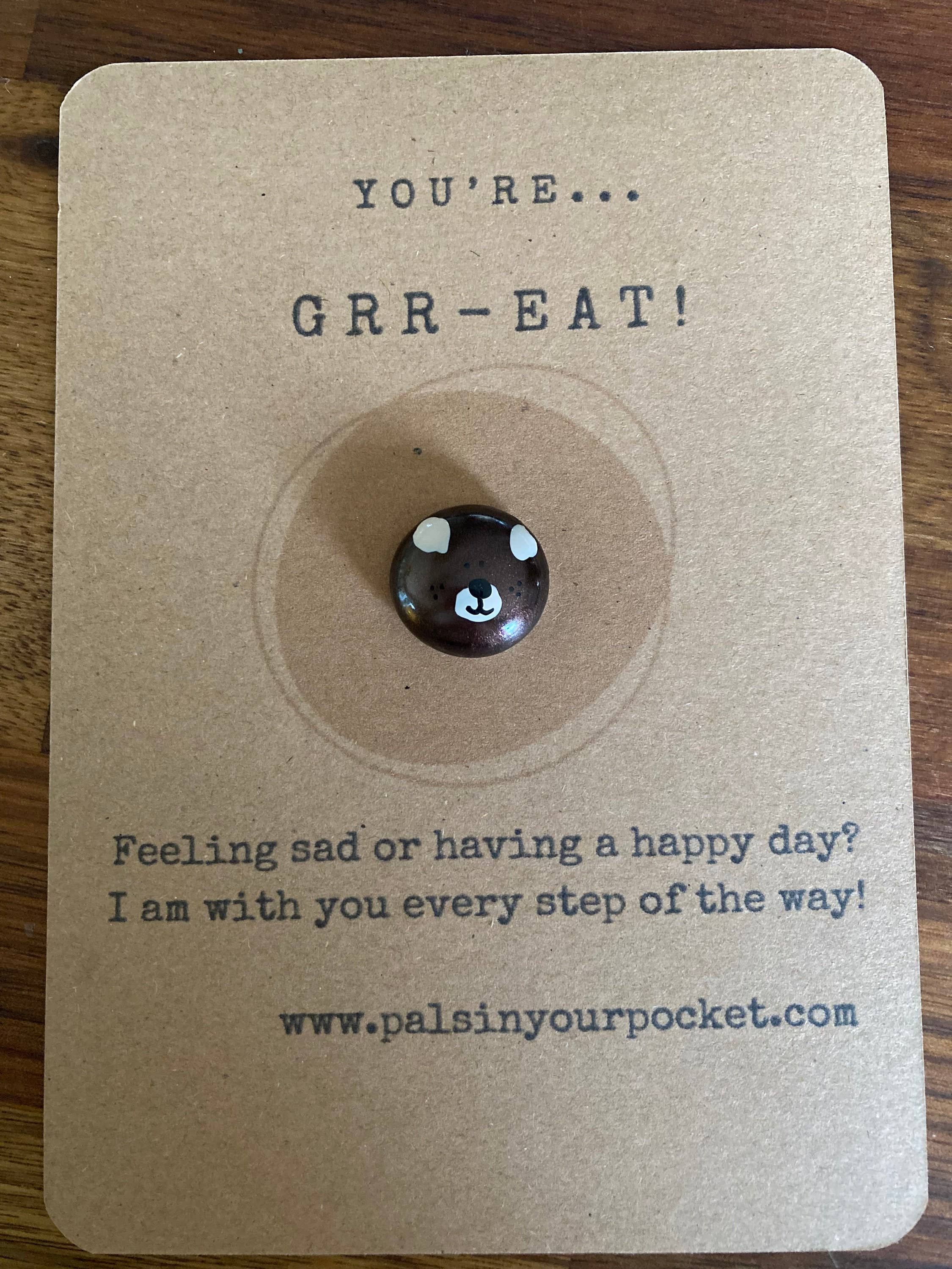 Pals in your Pocket – wholesale Keepsake coin/token – Children's Anxiety Teddybear With Comfort Pebbles1