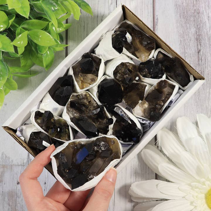 Natures Artifacts Inc - Wholesale Retailer Display - Beauty & Wellness - Smoky Quartz Clusters in a Flat (Small)1
