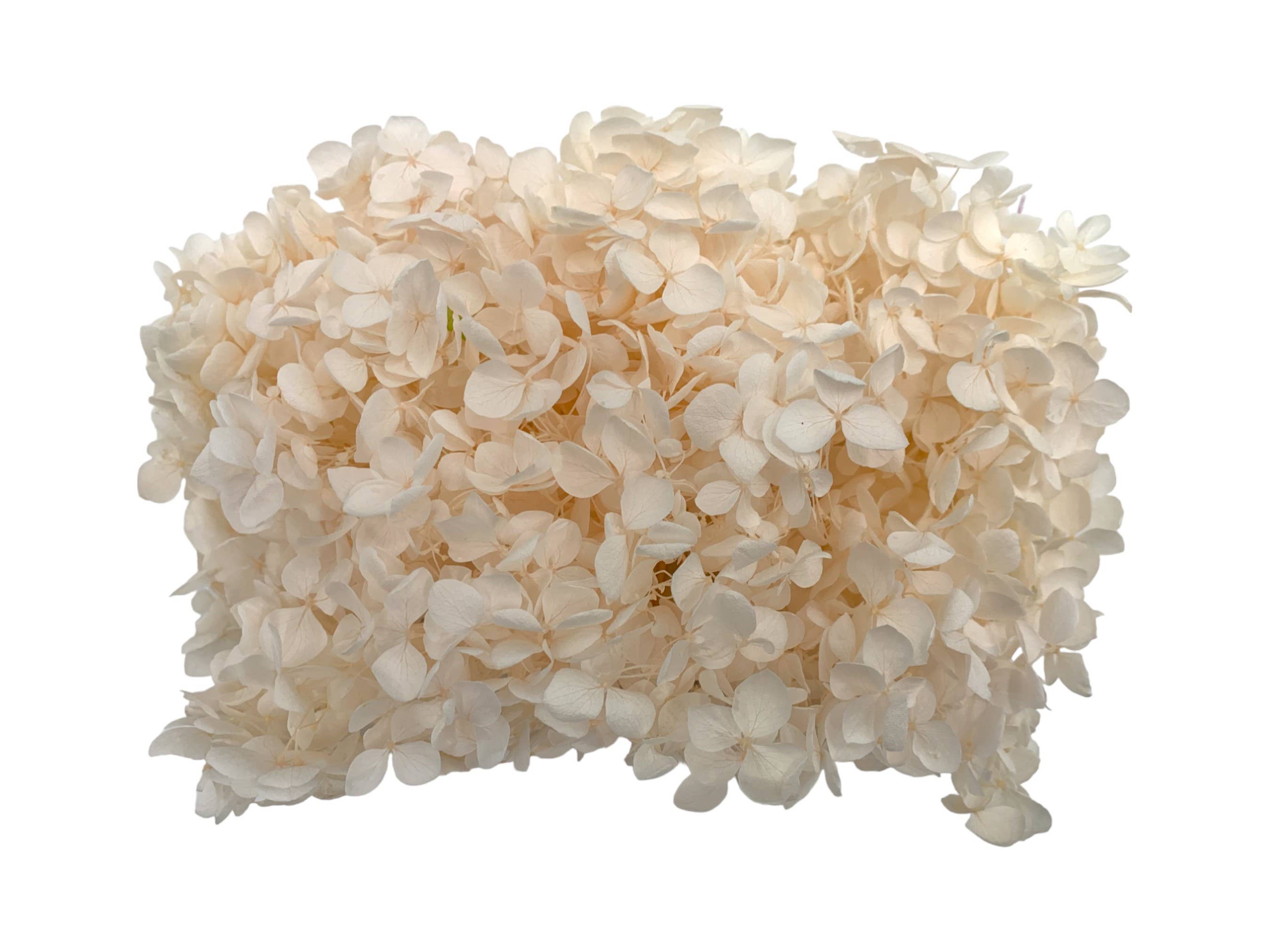 2626 Designs - Vente Fleur séchée/pressée - Boîte d'hortensias Anna préservés0