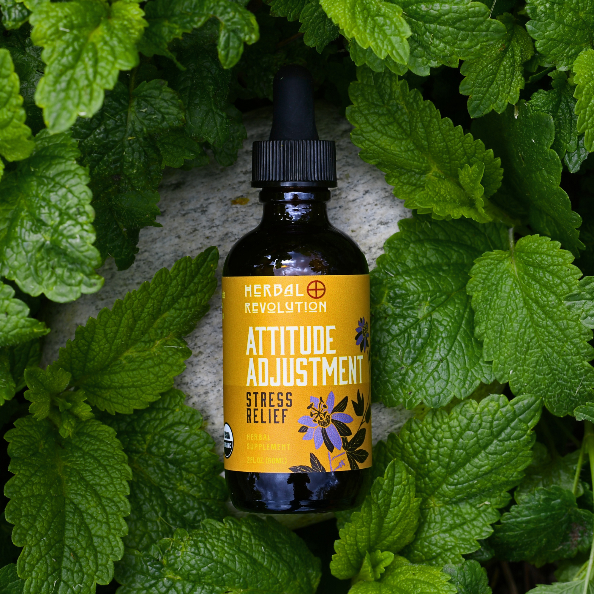 Herbal Revolution Farm + Apothecary - Wholesale Tincture - Attitude Adjustment: Stress & Anxiety Relief Elixir 5