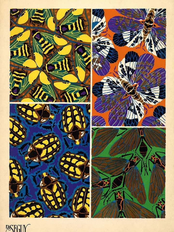 Emile-Allain Seguy's Insectes - Plate 20 for wholesale by Flashback Shop