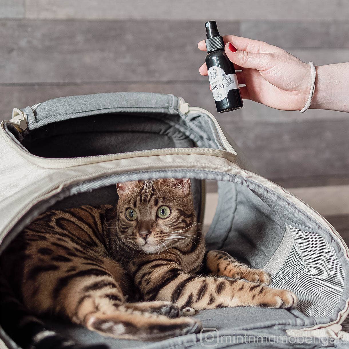 ne&no - Wholesale Catnip - ne&no® Valerian Spray for Cats - Set of 2 - in Gift Box7