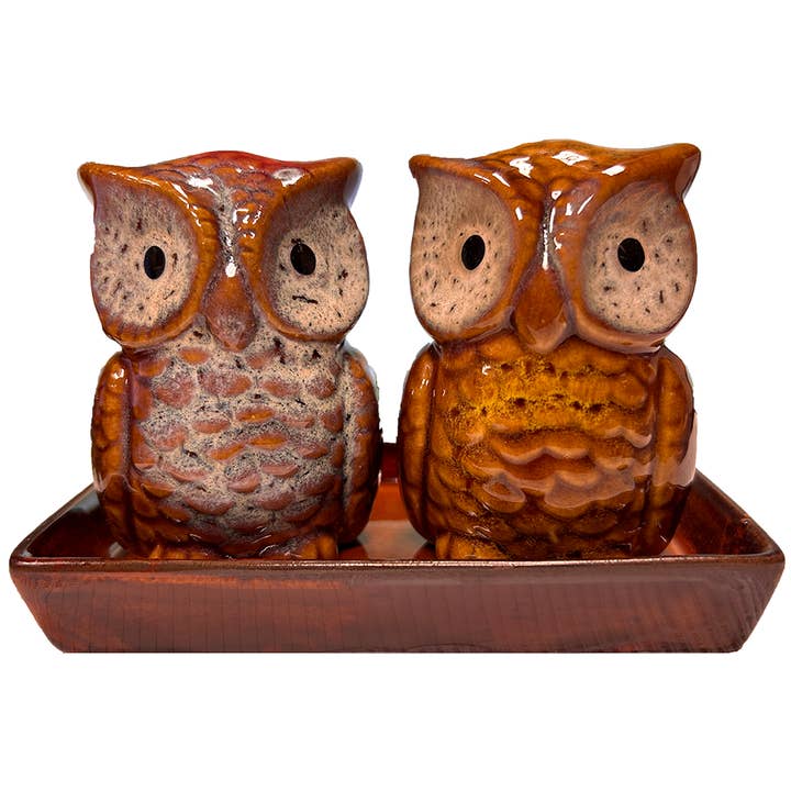 Owls Ceramic Salt and Pepper Shaker Set with Tray for wholesale by Texas Toy Distribution