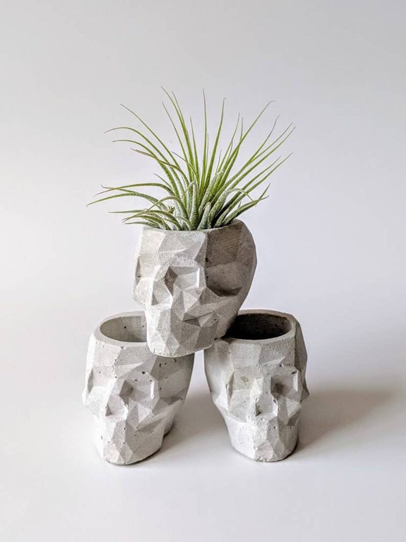 ForgottenProperty - Wholesale Plant Pot - Concrete Geometric Skull Air Plant Holder2