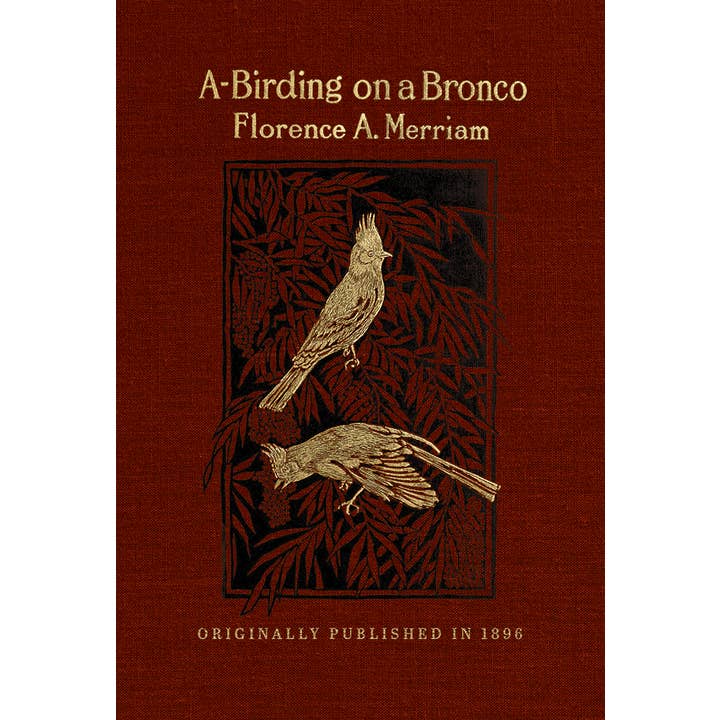 A-Birding on a Bronco for wholesale by Applewood Books