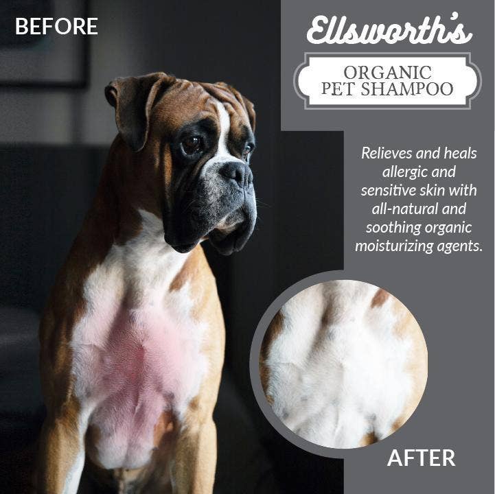 Fridaze Pets - Vente Shampoing – chien - Ellsworth Premium Shampooing bio pour animaux de compagnie - Citronnelle3