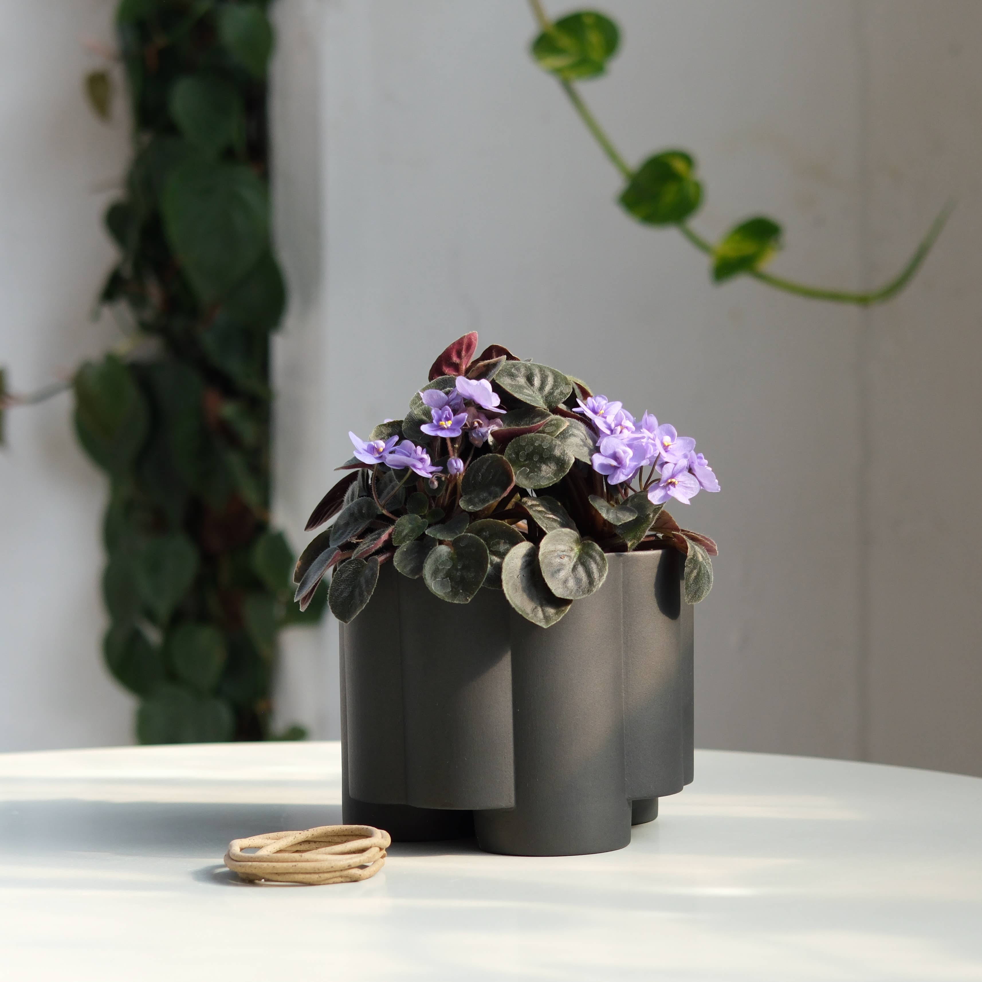 Misewell - Wholesale Plant Pot - Pillar Planter3