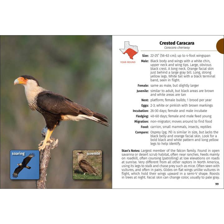 AdventureKEEN - Wholesale Nature Guide - Birds of Texas Field Guide 2e