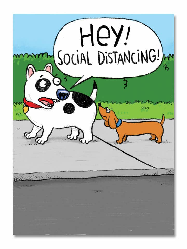 Social Distancing Dogs for wholesale by spirit publishing pty ltd