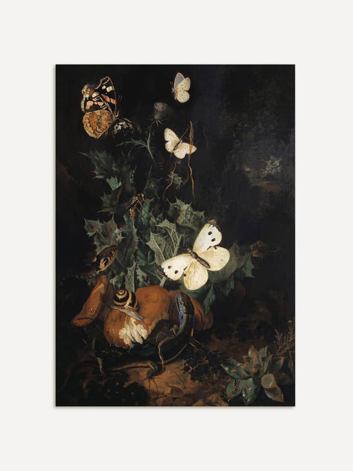 Baroque Nature Still Life – Dark Academia Art Print for wholesale by Modern Antique Prints