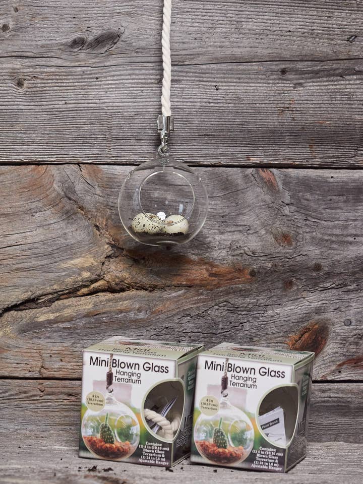 Boxed Glass Terrarium with Hanger for wholesale by Primitive Planters