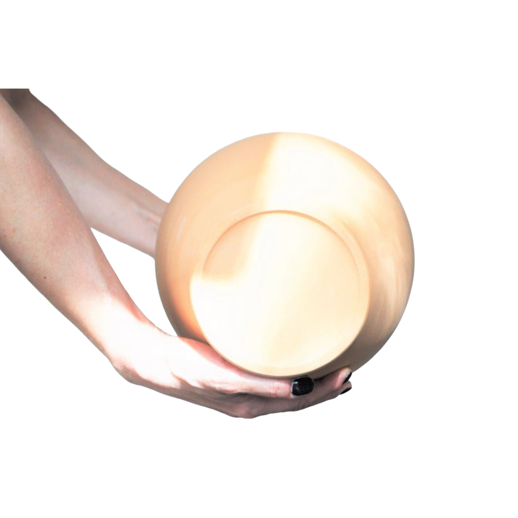 Caterina - Wholesale Money/Piggy Bank - Caterina Money Pot, Pottery Piggy Bank, Coin Bank, Money box19