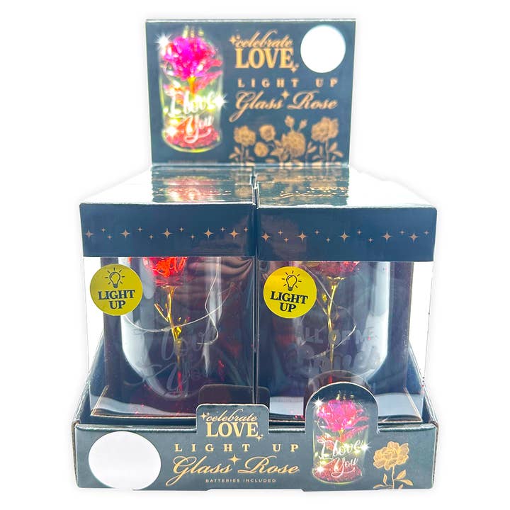 Novelty Brands - Wholesale Retailer Display - Home & Living - Rose Keepsake Glass Dome Love Assortment Gift - 6/Display1