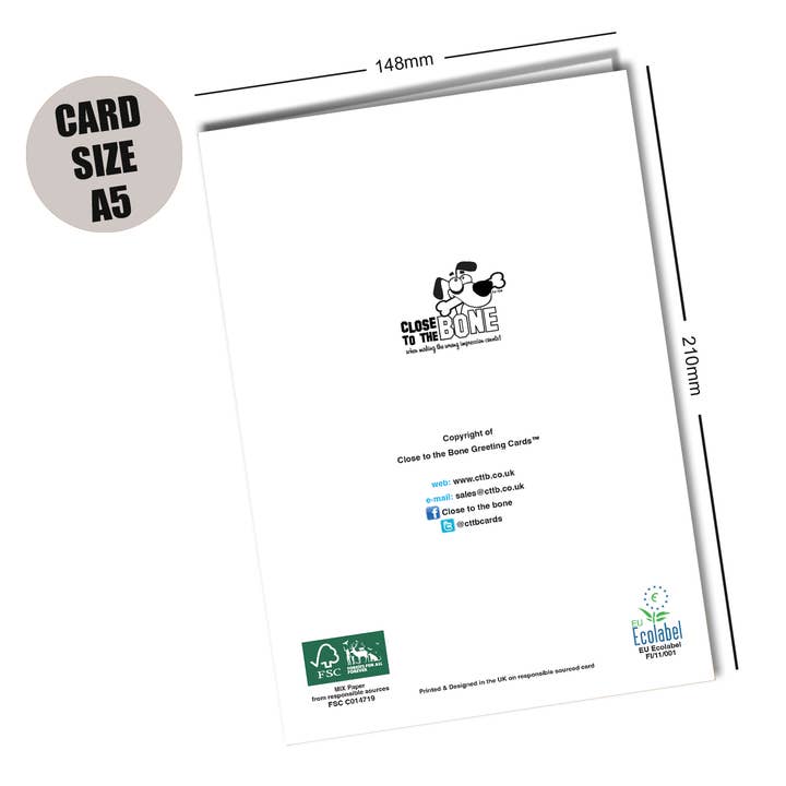 Close to the Bone Greeting Cards and Gifts - Wholesale Congratulations Card - #215 Better Colleagues2