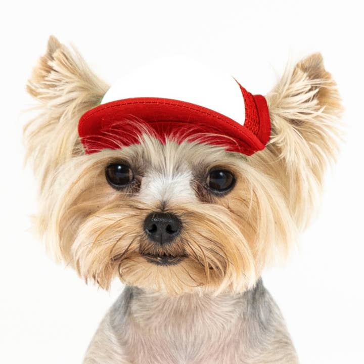 PupLid - Wholesale Pet Hat - Dog - Blank Foam | Trucker Hat for Dogs