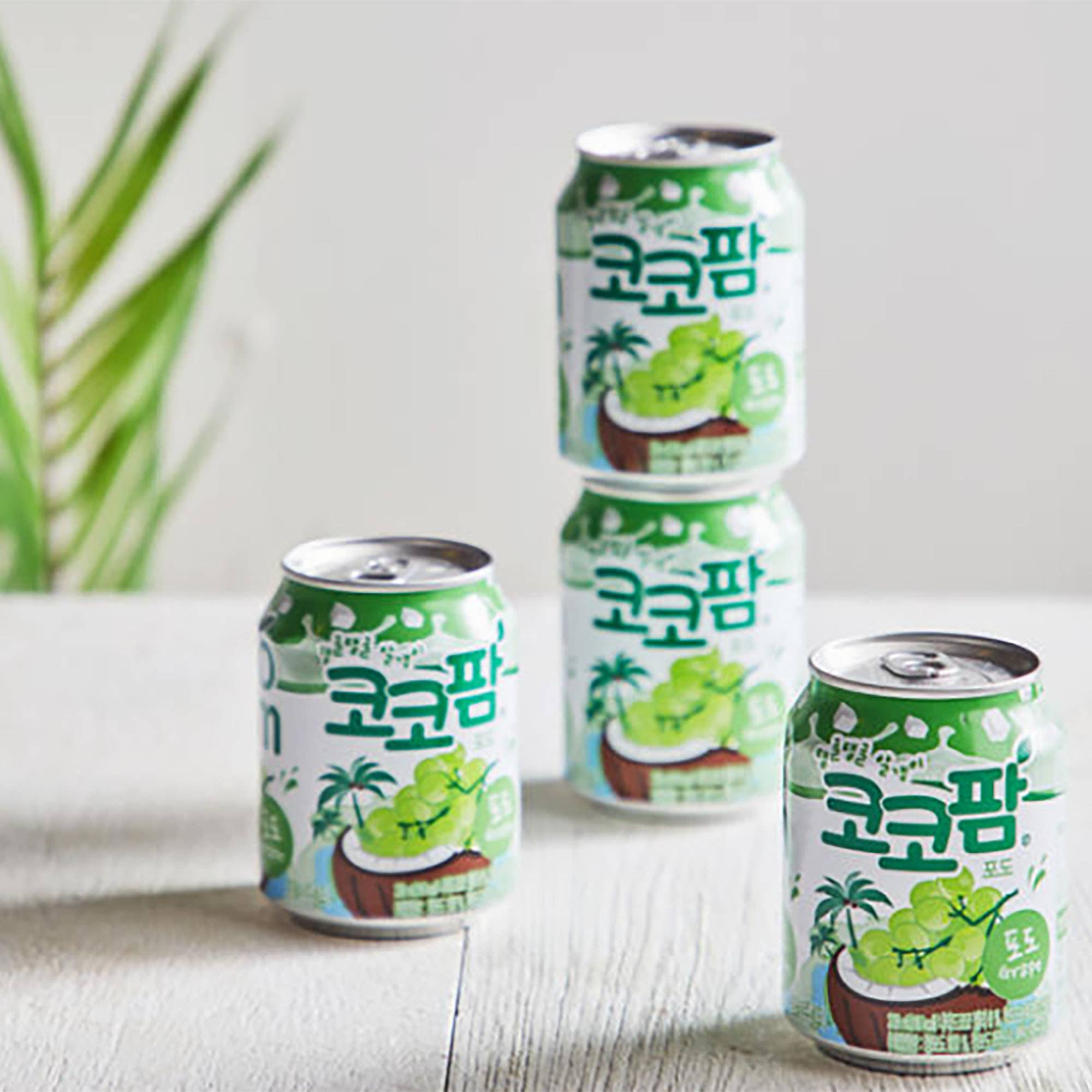 K Moitves Foods - Wholesale Soda/Carbonated Drink - Haitai Soft Drink With Nata De Coco-238ml (Pack of 24)1