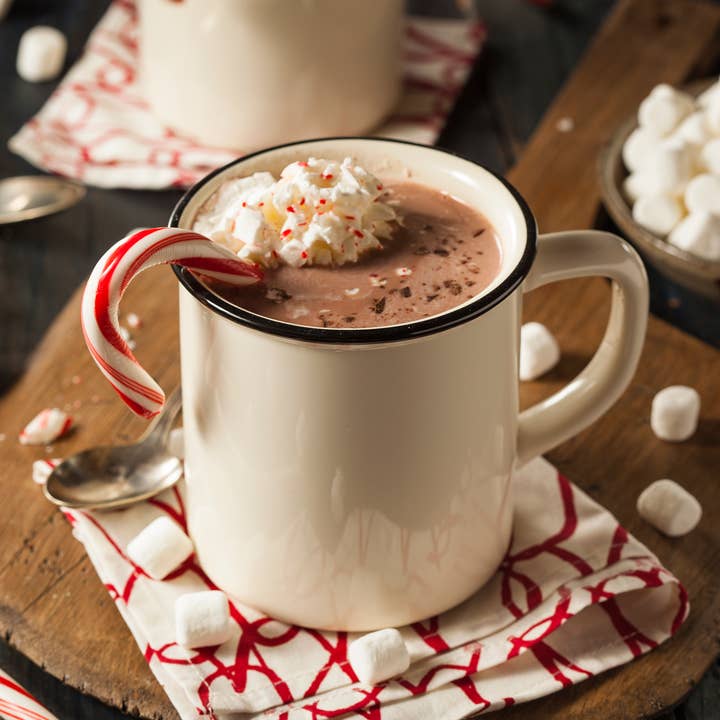 Mixology - Wholesale Hot Cocoa Mix/Kit - Peppermint Hot Chocolate Mix Shot1