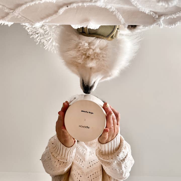 Peachy Dogs – wholesale Pet bowl – Cat/dog – Dog Bowl x Monokiini6