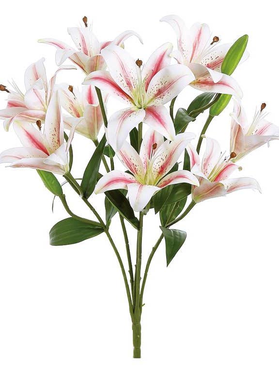Rubrum Lily Bush, 21", Cream/Pink for wholesale by Select Artificials, Inc.