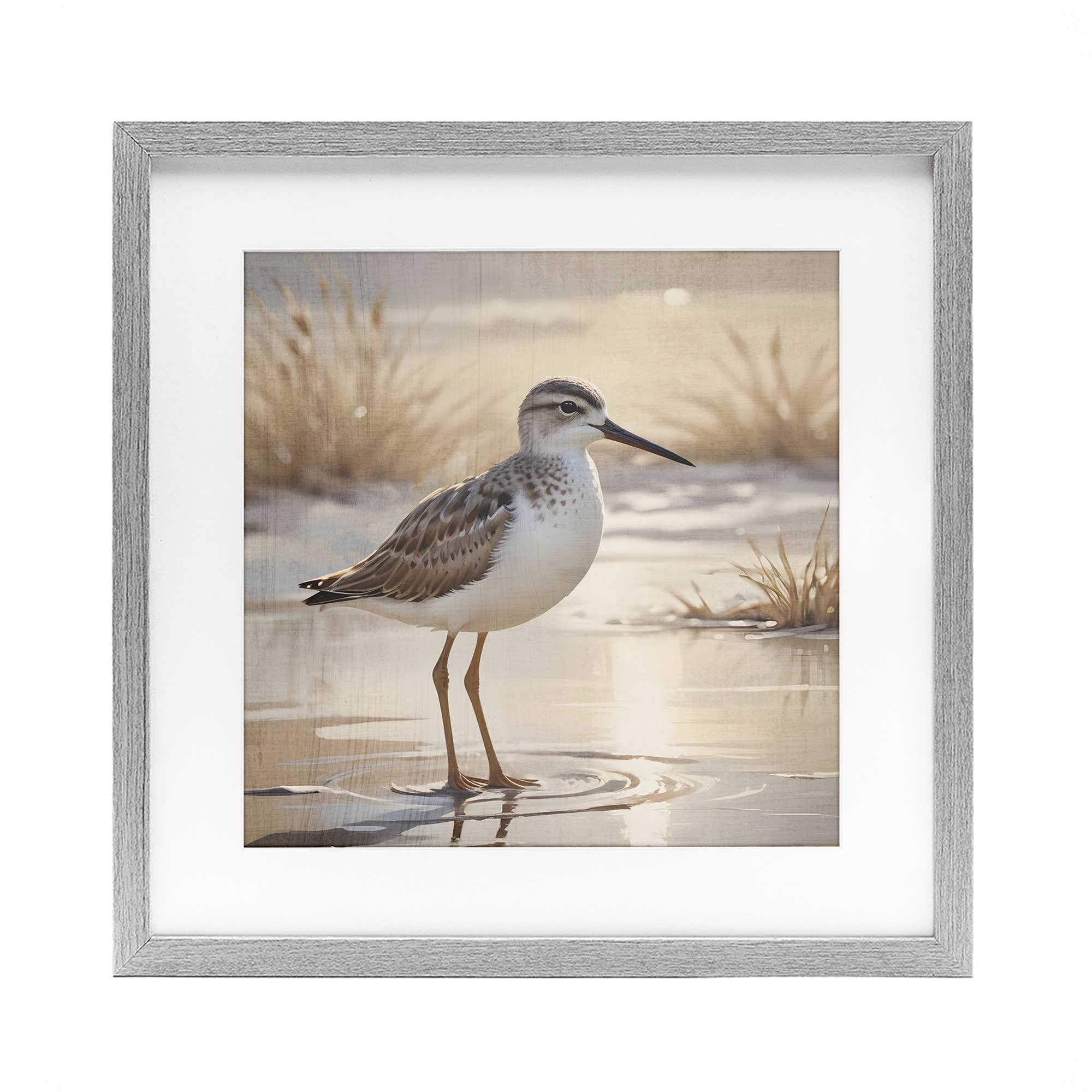Stupell Industries - Wholesale Wall Sign - Sunlit Sandpiper in Shallow - Print Under Glass Wall Art9