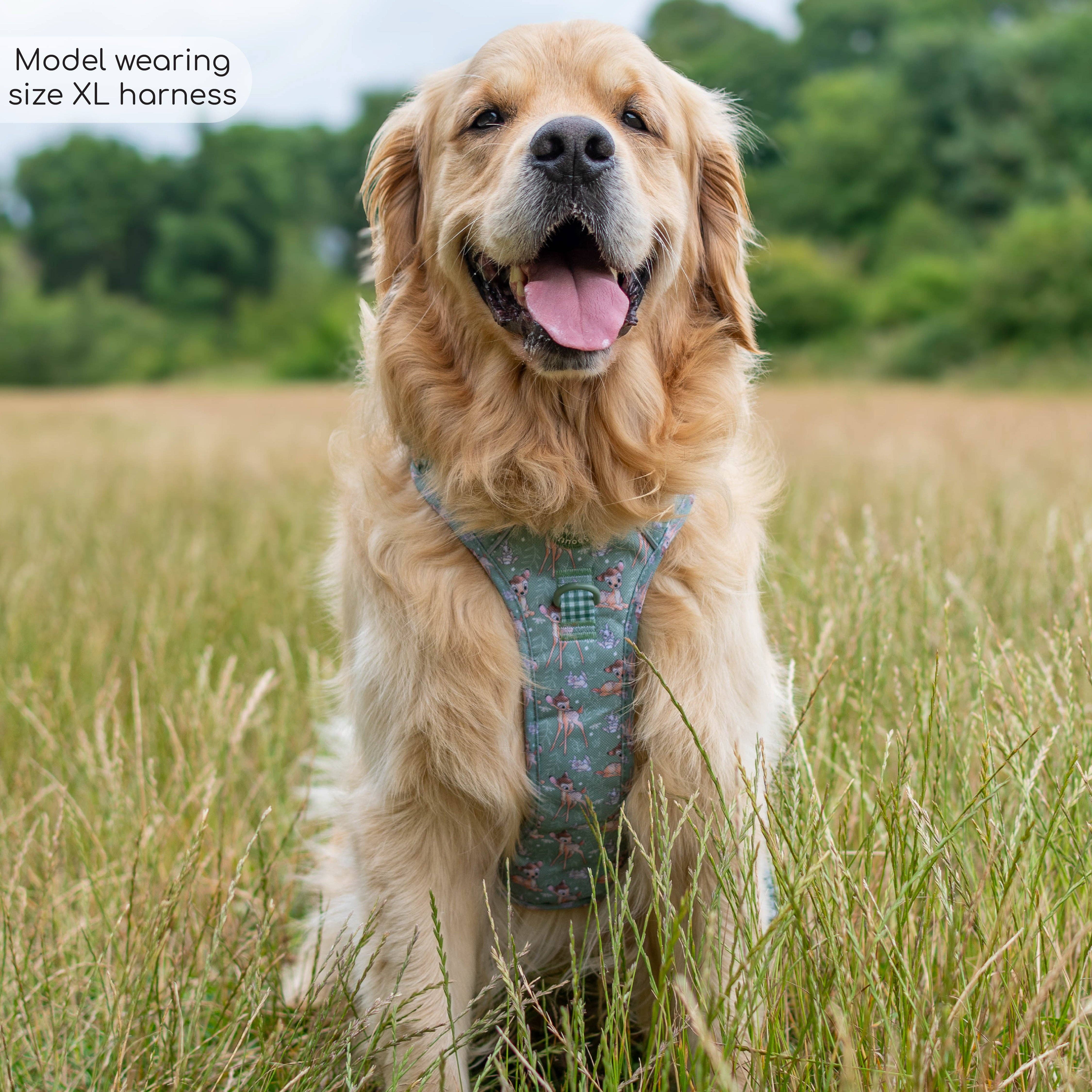 Pawsome Paws - Wholesale Tuig voor huisdieren - Hond - Disney© Tough Trails™ tuigje - Bambi en Stampertje10