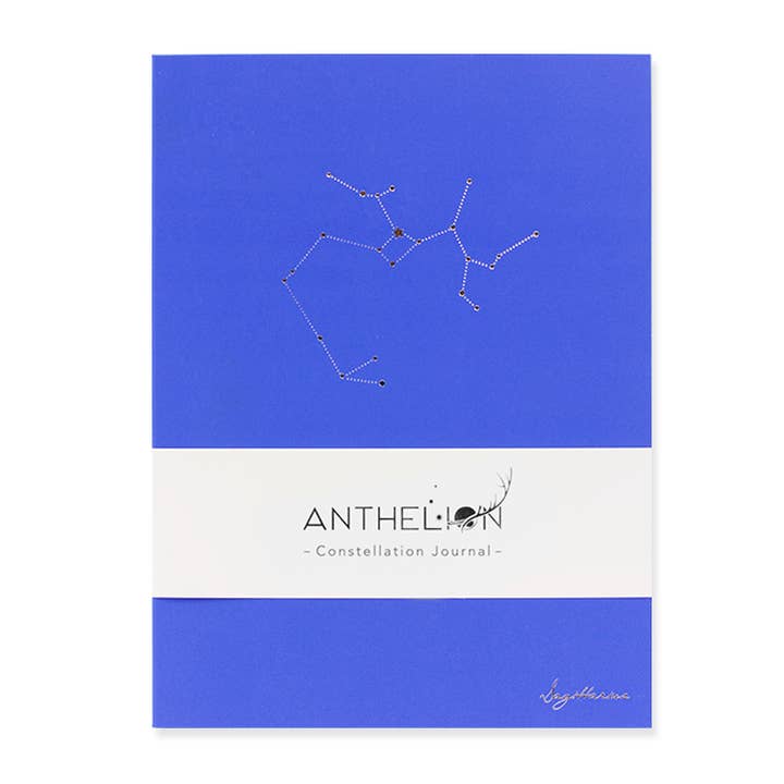SAGITTARIUS HOROSCOPE JOURNAL PANTONE for wholesale by Hadron Epoch Design Studio