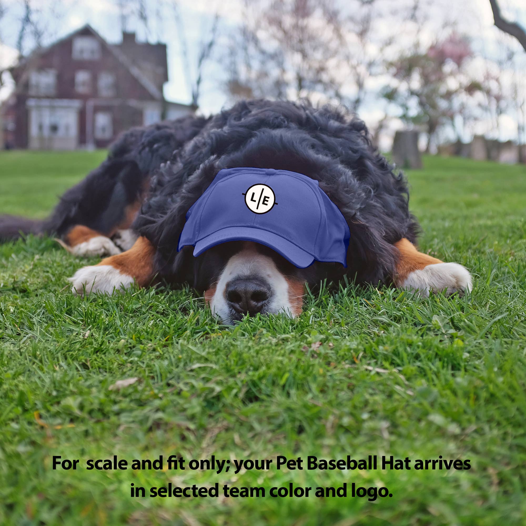 Little Earth Productions - Wholesale Pet Hat - Dog - MLB Houston Astros Pet Baseball Hat2