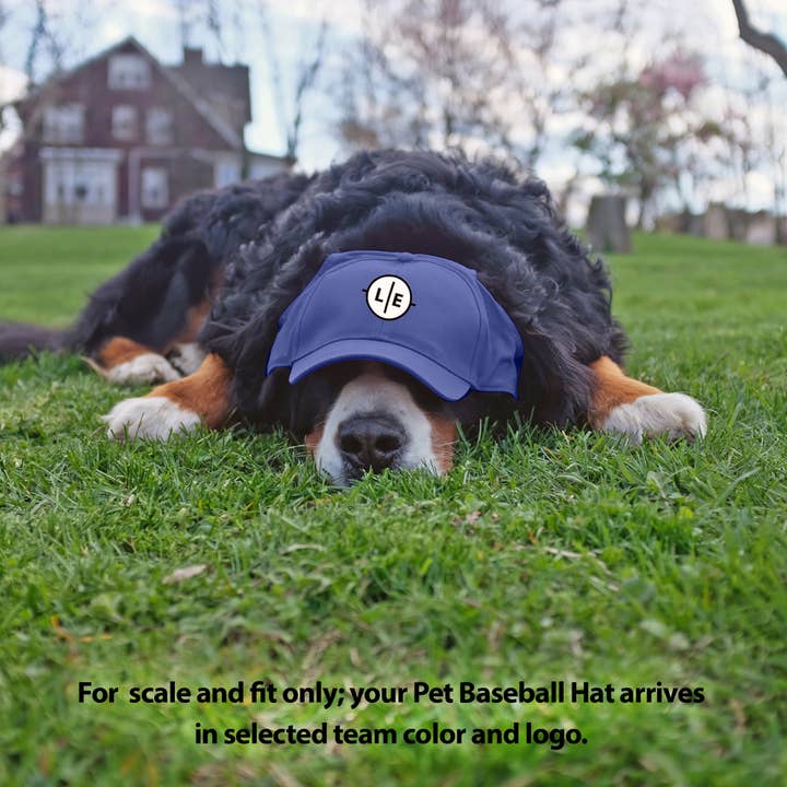Little Earth Productions - Wholesale Pet Hat - Dog - MLB Houston Astros Pet Baseball Hat2