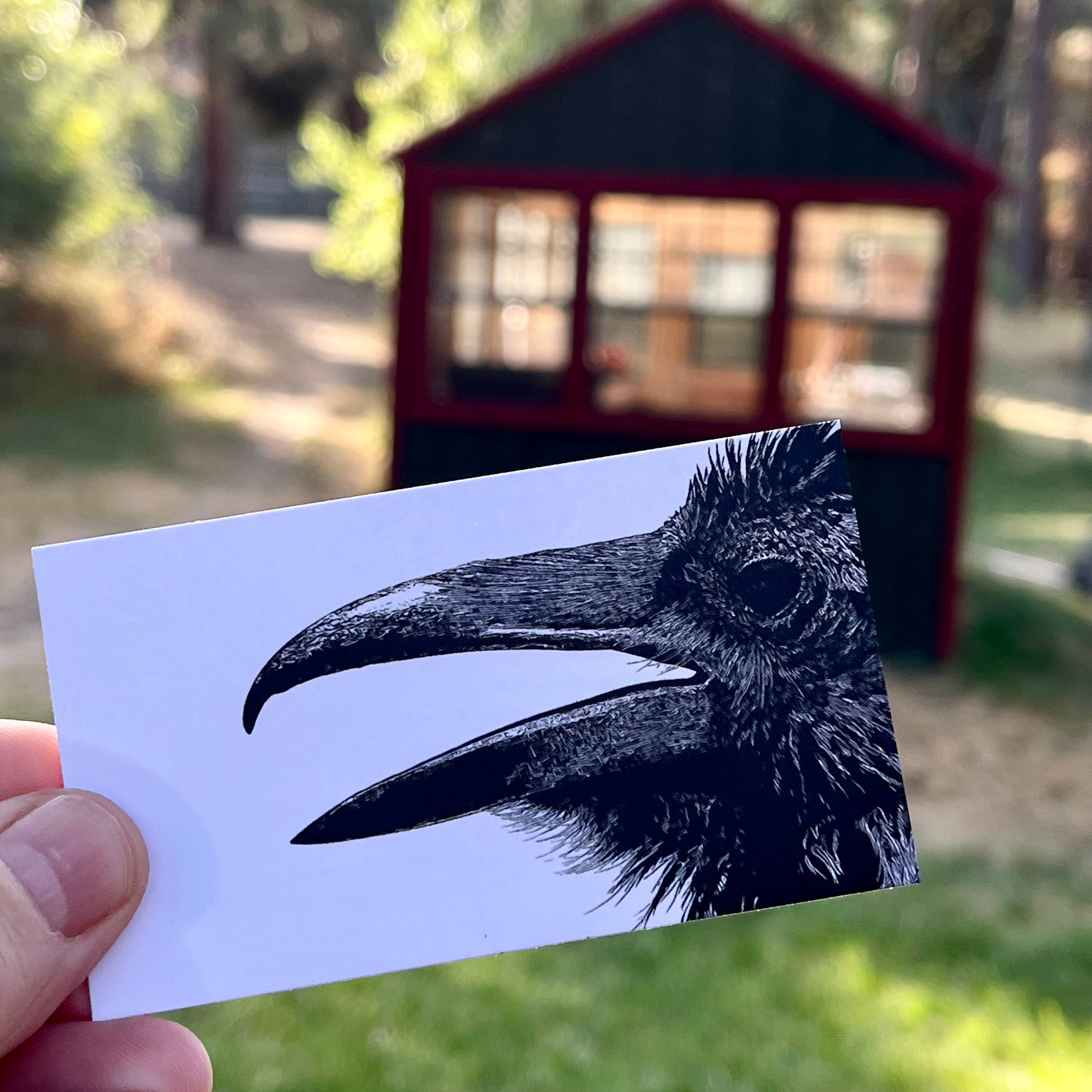 Laughing Mule Press - Wholesale Stationery/Notecard Set - Raven Mini Notes - 20 Count1