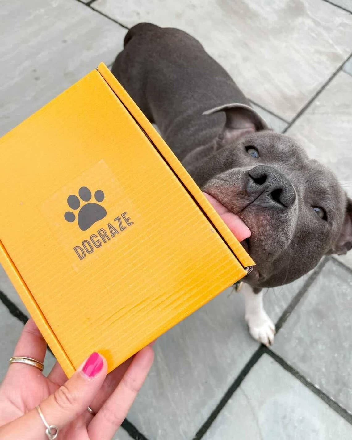 DOGraze – snacks e guloseimas - Cão por atacado – Caixa de Petiscos para Cães - SABOR PEIXE4