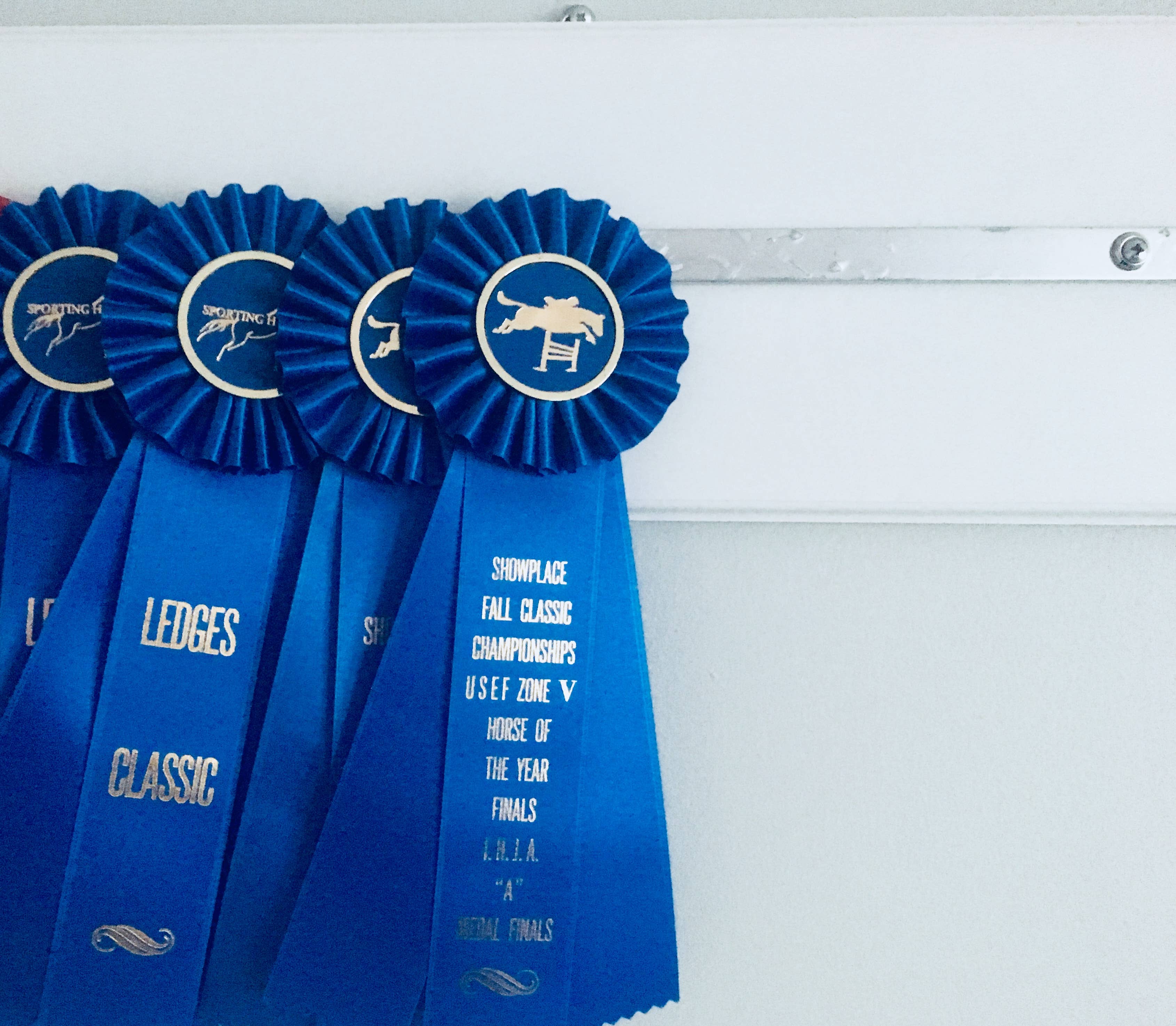 The Infused Equestrian – Prateleira de exposição por atacado – O rack de fita infundido4