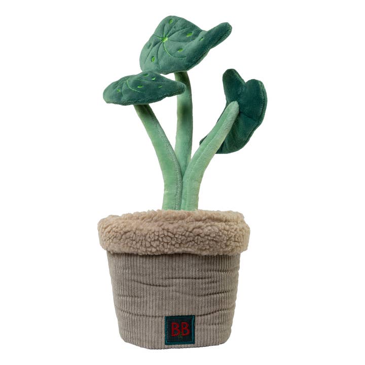 Aktivitetsleksak Pawtanic Garden - Växt för wholesale av B&B Økologisk Hundeshampoo