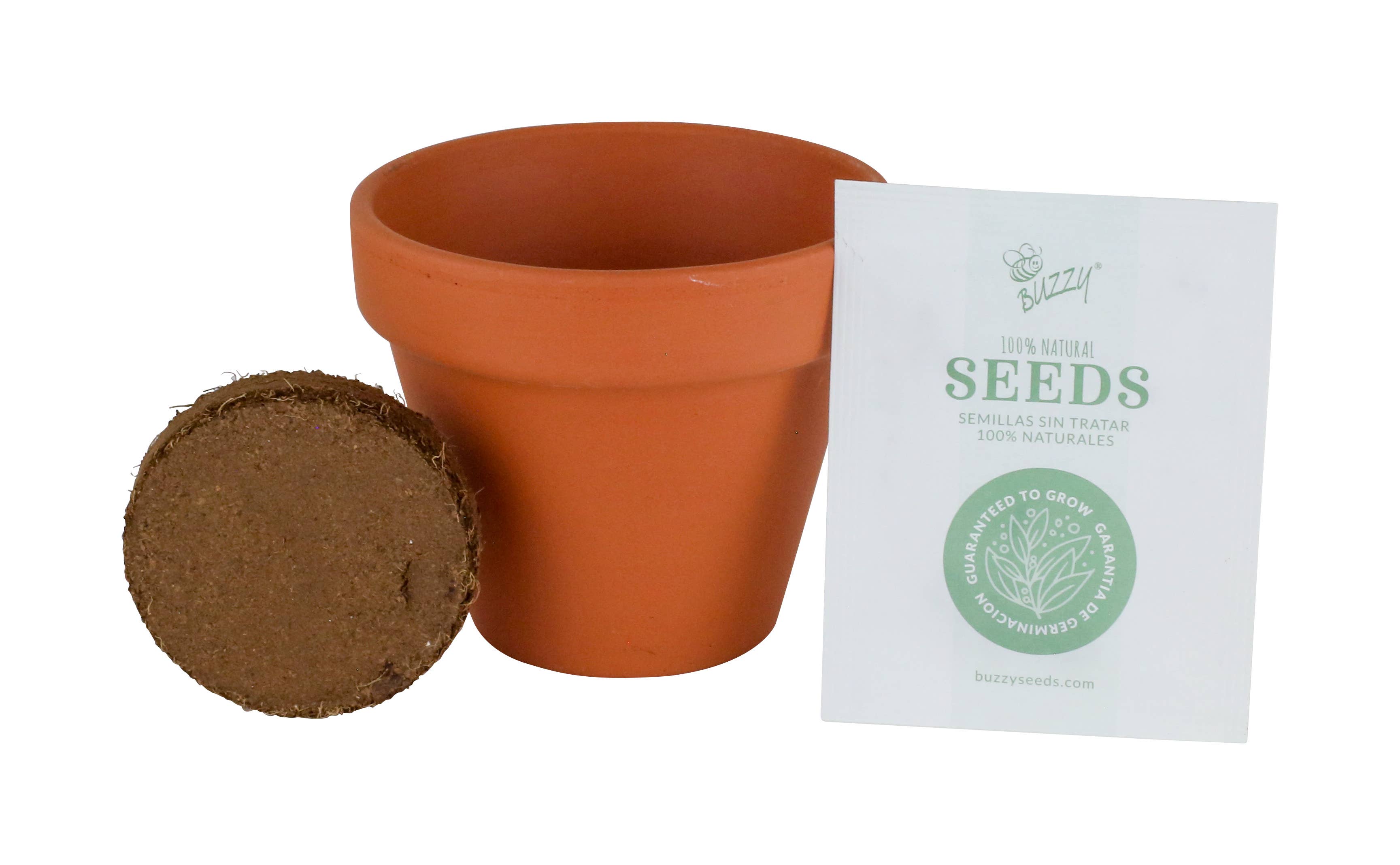 Buzzy Seeds Grow Gifts - Vente Graines de plantes - Kit de Culture en Terre Cuite Rose – Cadeau d'Herbes d'Intérieur1