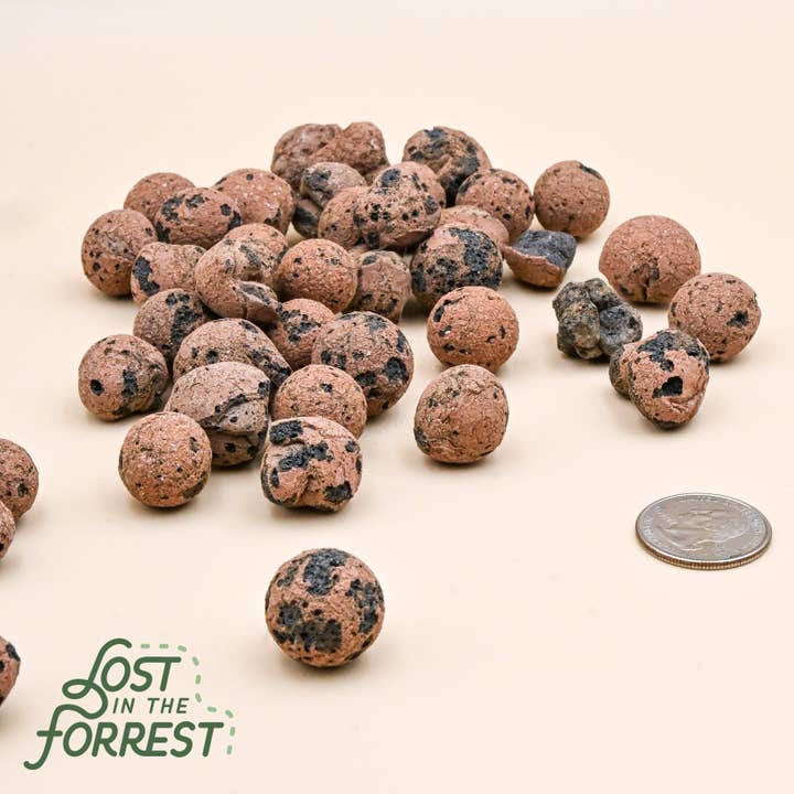 Leca - Letvægts Ekspanderet Leraggregat til Indendørs Havebrug for engroshandel hos Lost in the Forrest