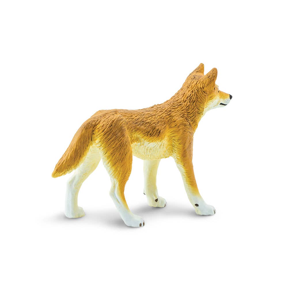 Safari Ltd. - Wholesale Figurine Toy - Kids - Dingo - 2282291