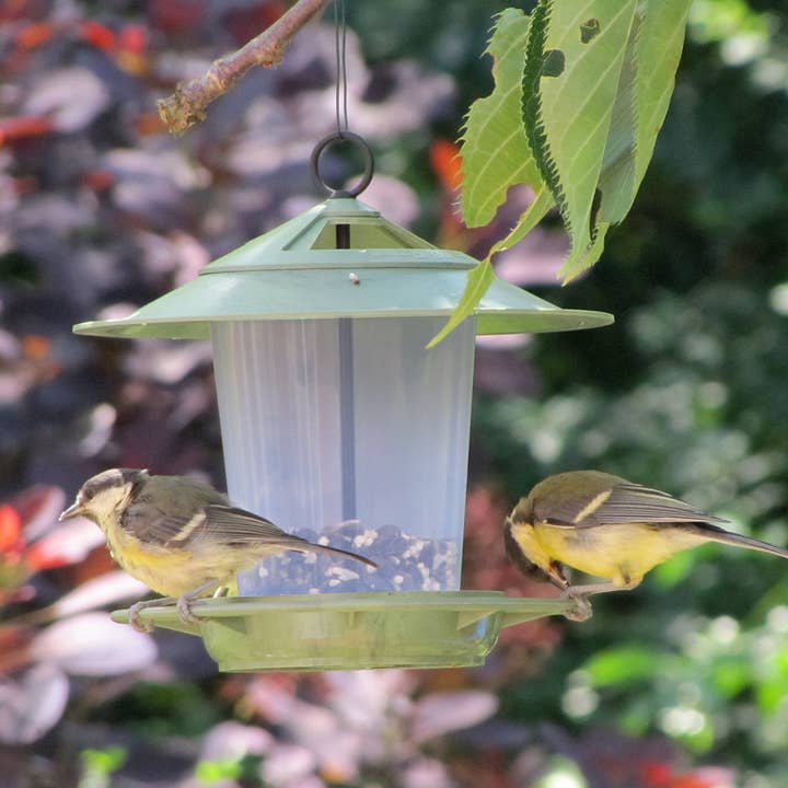 Wildlife World Ltd - Wholesale Bird Feeder - Eco Beacon Bird Feeder