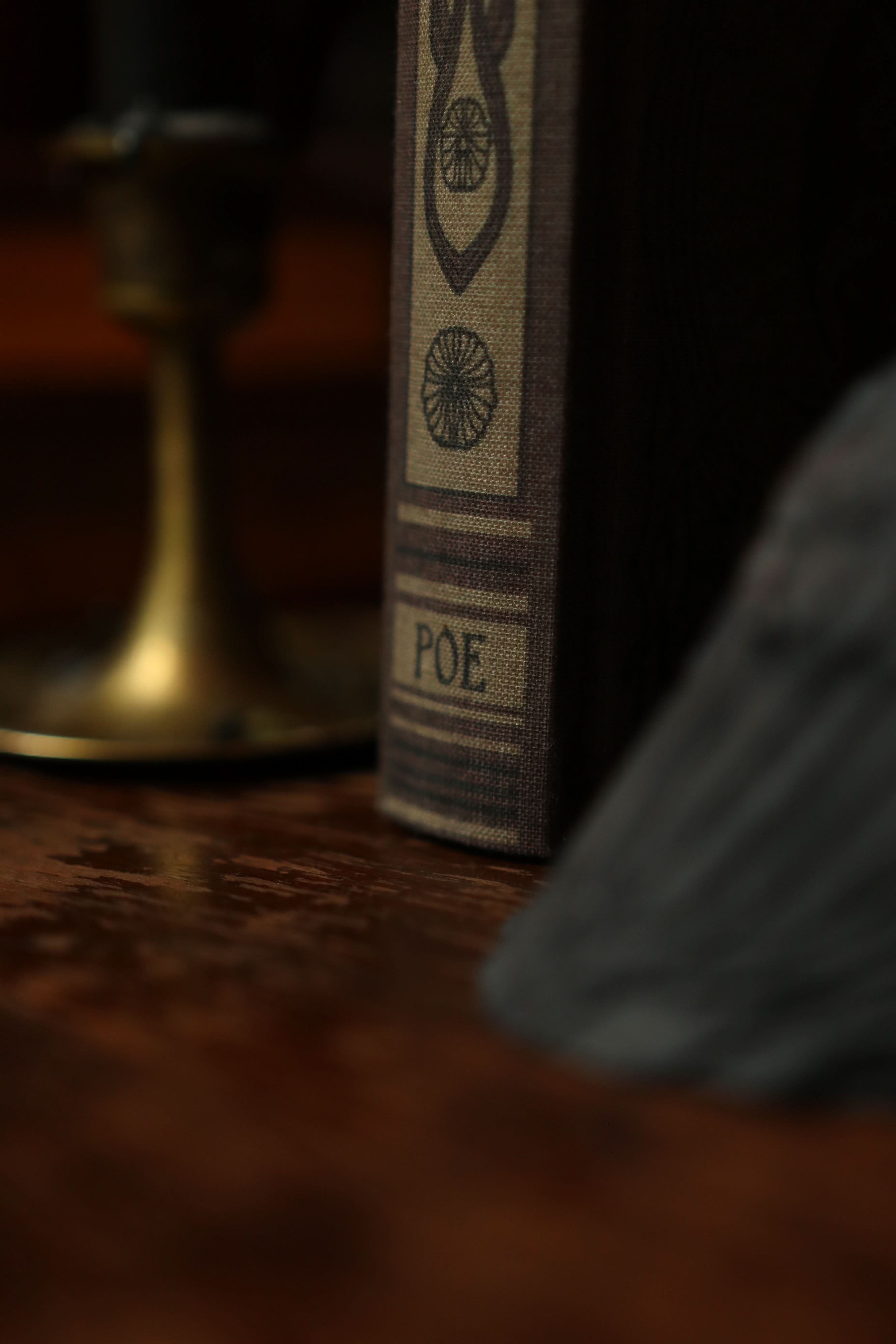 Novel Book Store - Vente Journal intime - Les œuvres poétiques complètes d'Edgar Allan Poe 1884 - Journal de lecture4