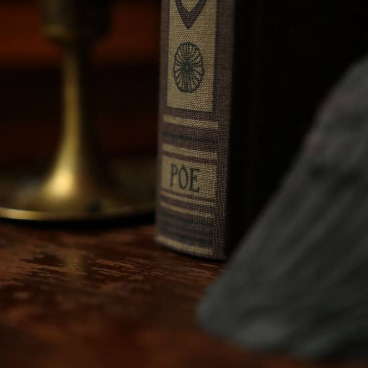 Novel Book Store - Vente Journal intime - Les œuvres poétiques complètes d'Edgar Allan Poe 1884 - Journal de lecture4