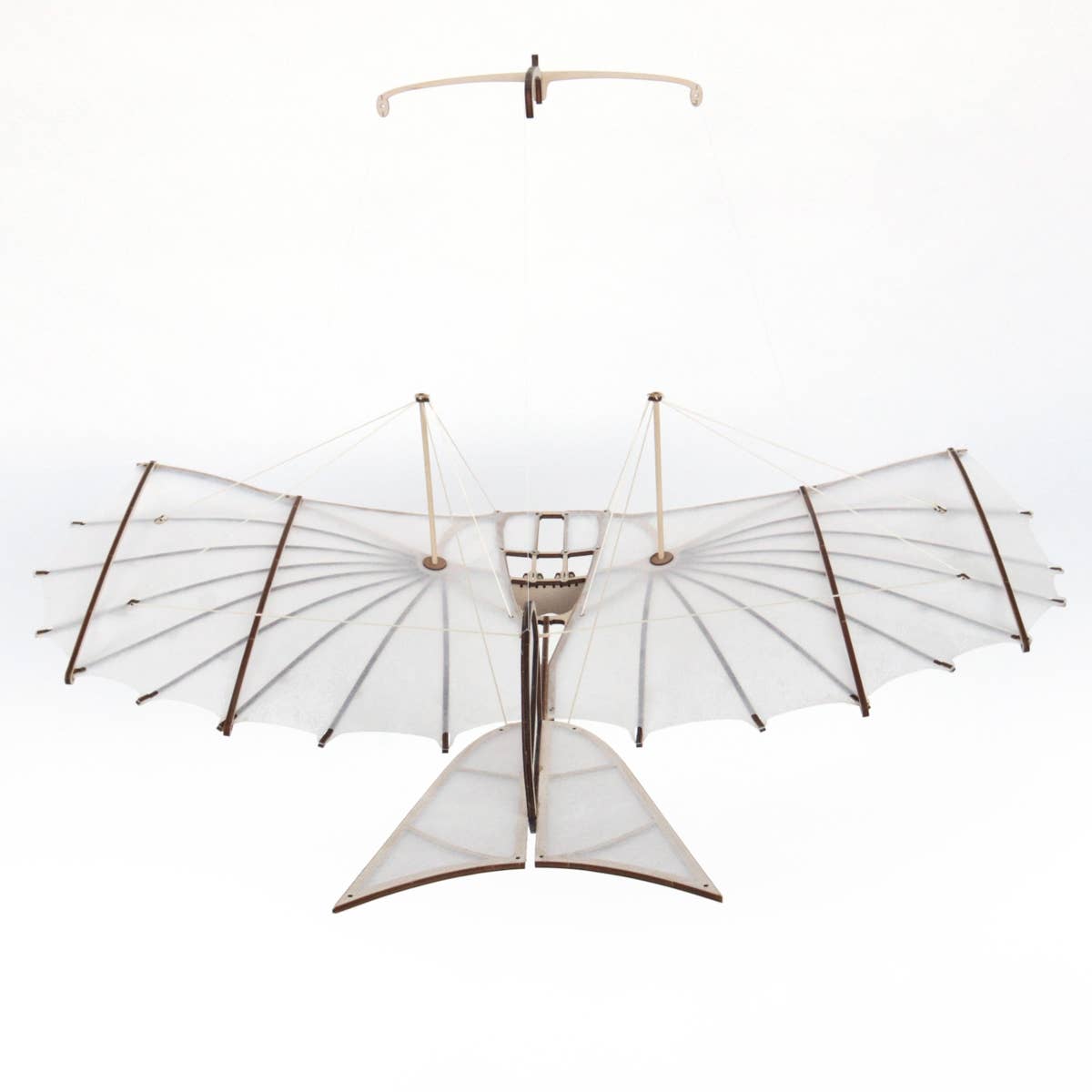 Dahimo - Wholesale DIY Craft Kit - Lilienthal Glider - Reconstruction Wooden Model Kit4