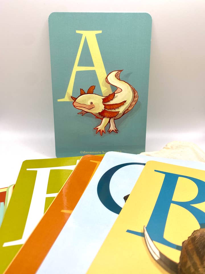 Under Appreciated Animals ABCs Flash Card Set for wholesale by mightypigeon