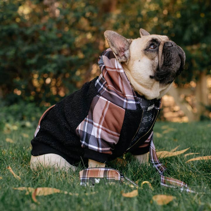 Frenchie - Wholesale Pet Hoodie - Dog - Frenchie Dog Hoodie - Cocoa Plaid1