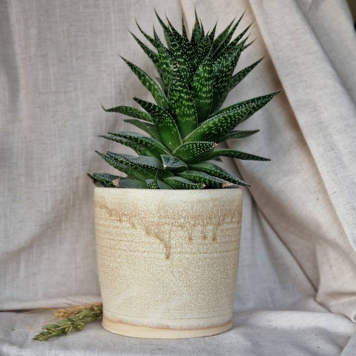 Charlotte Manser Ceramics - Wholesale Plant Pot - Cream Handmade Ceramic 12cm Plant Pot