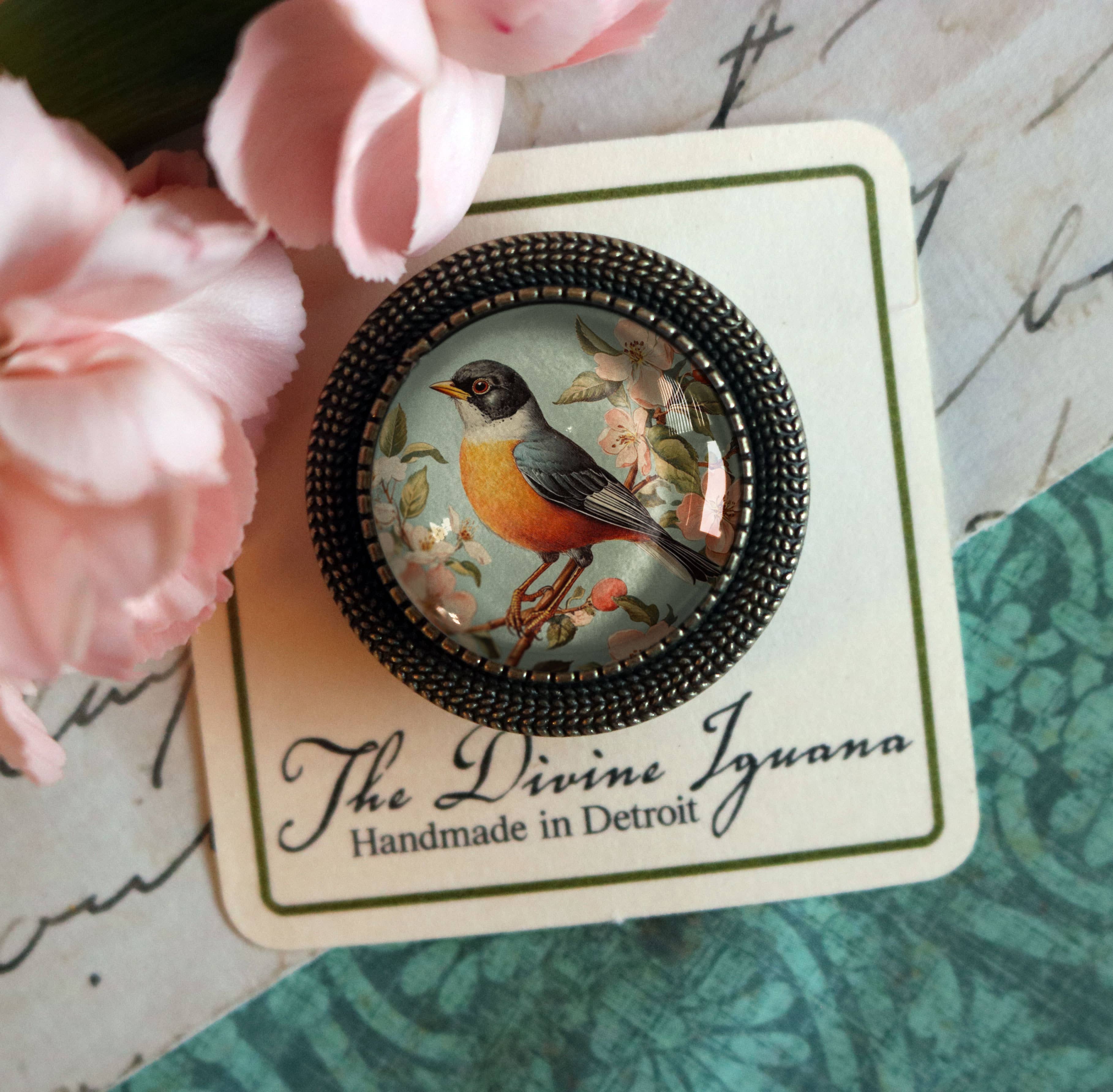The Divine Iguana - Wholesale Brooch - Vintage Robin Spring Bird Glass Cabochon Brooch2