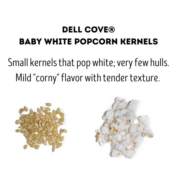 Dell Cove Spices & More Co. - Wholesale Popcorn Kernels - Baby White Popcorn Kernels - 2 Pound Bag - Hulless Pop Corn