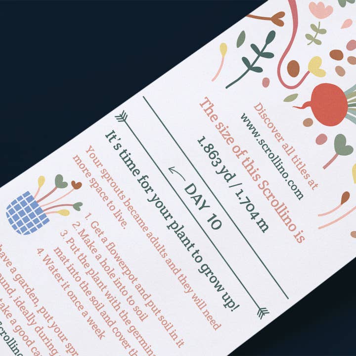 Scrollino - Wholesale DIY Craft Kit - Kids - Original Activity & Growing Kit - Scrollino Radish Sprouts5