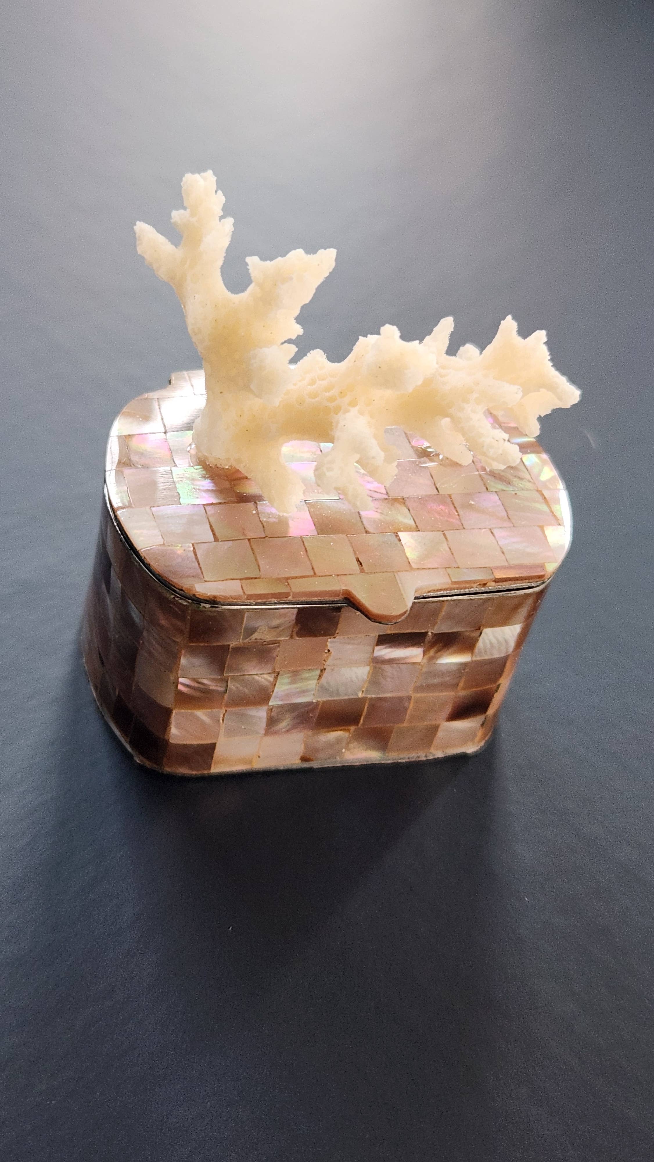 White Tulip Boutique - Wholesale Decorative Box - Mini Tawny Abalone MOP Shell Trinket Pill Box2