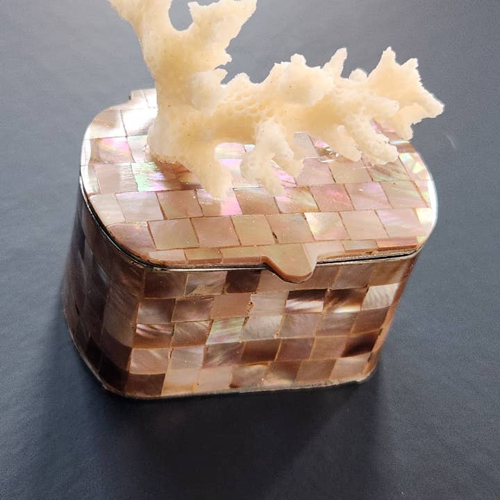 White Tulip Boutique - Wholesale Decorative Box - Mini Tawny Abalone MOP Shell Trinket Pill Box2