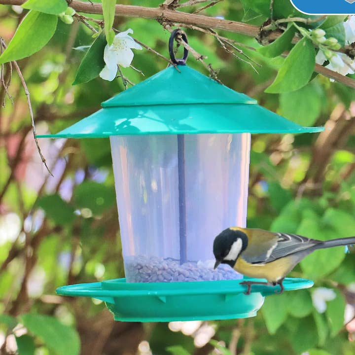 Comedero para Pájaros Eco-Blu para venta al por mayor de Wildlife World